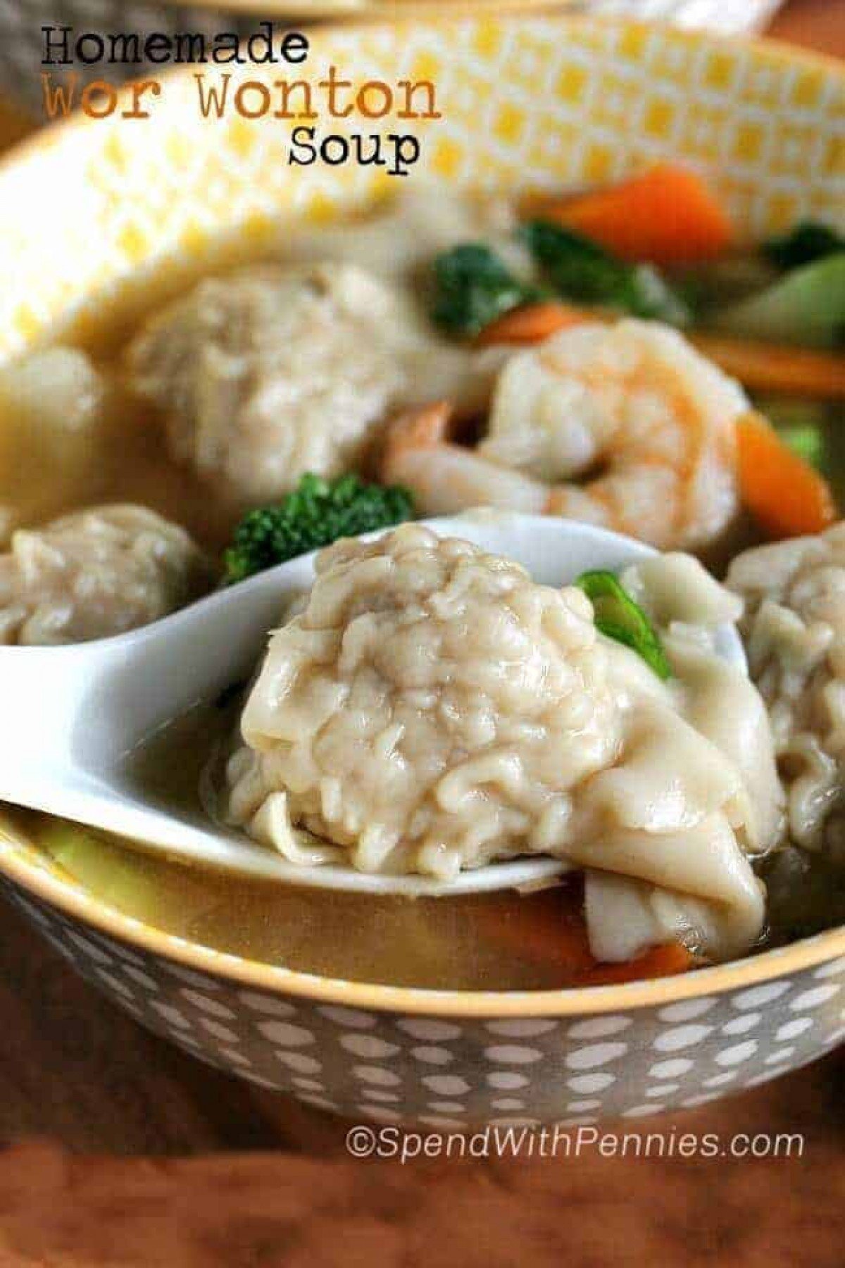 Wor Wonton Soup Vs Wonton Soup