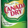 GINGER ALE (CAN)