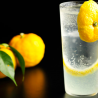 YUZU CITRUS (FRESH)