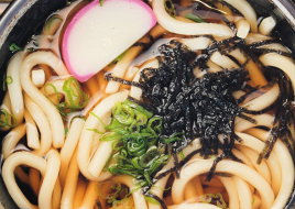 Plain Udon