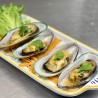 Green Shell Mussel