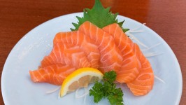 SASHIMI