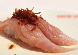 ALBACORE