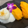 Mango with Sticky rice (Khao Neaw Mamuang)