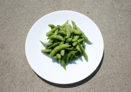 1. Soy Bean